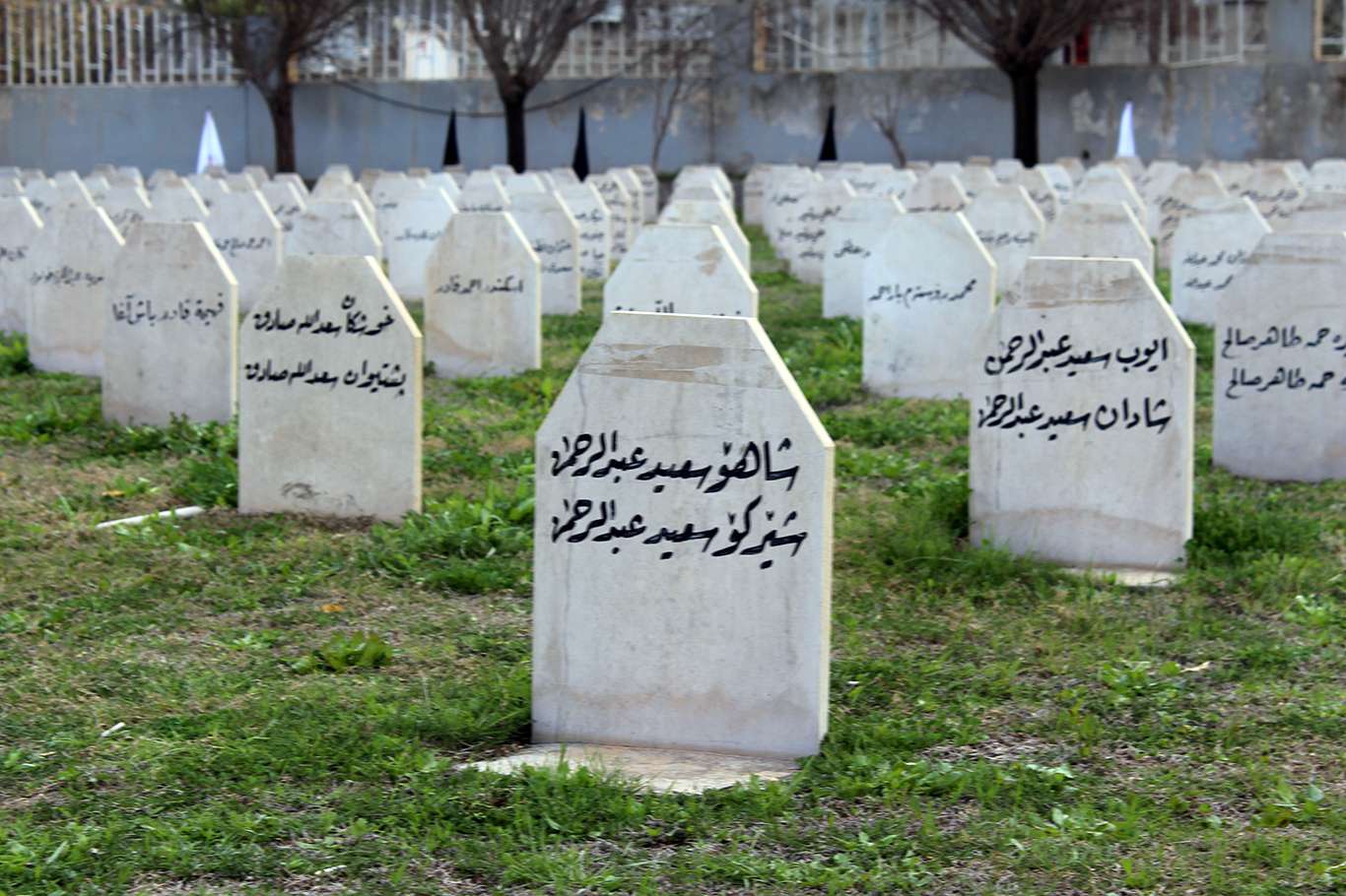 Tanıkların dilinden dinmeyen acı Halepçe Katliamı 1